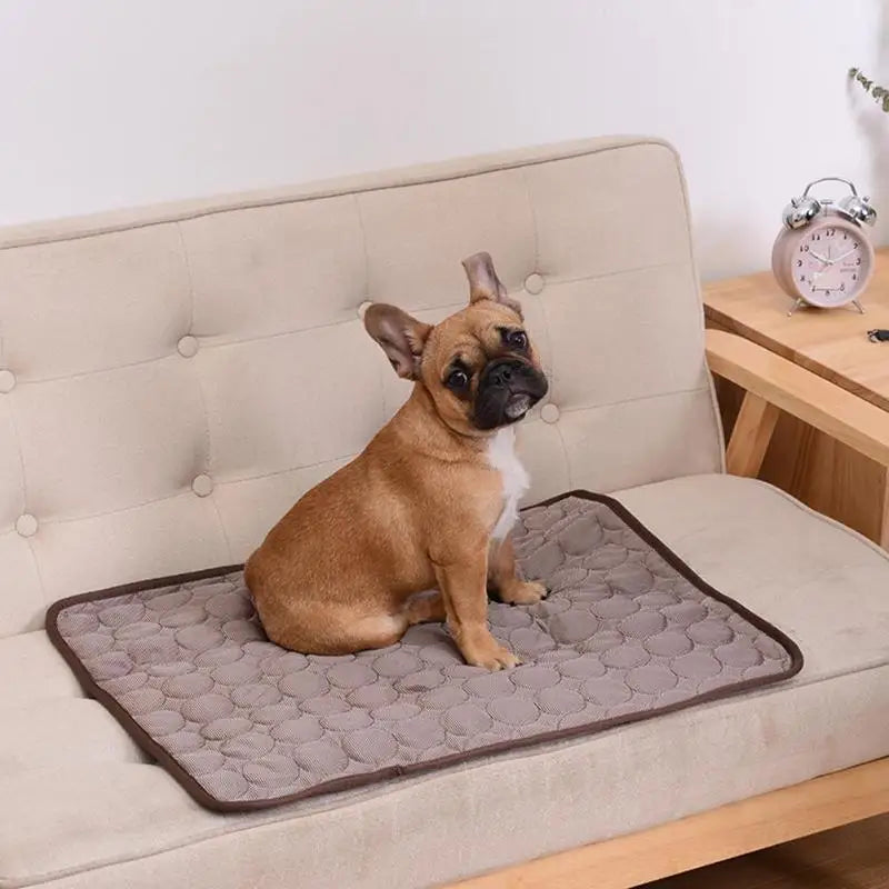 Tapis rafraîchissant pour animaux de compagnie