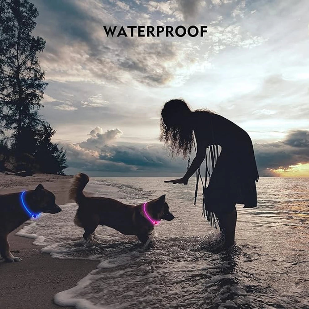Collier Led lumineux Usb pour chien, chat 3 Modes lumière LED