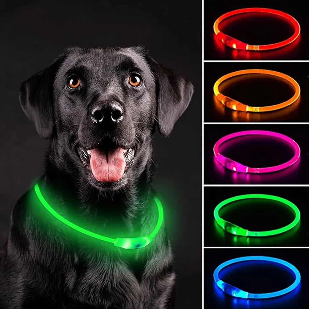Collier Led lumineux Usb pour chien, chat 3 Modes lumière LED