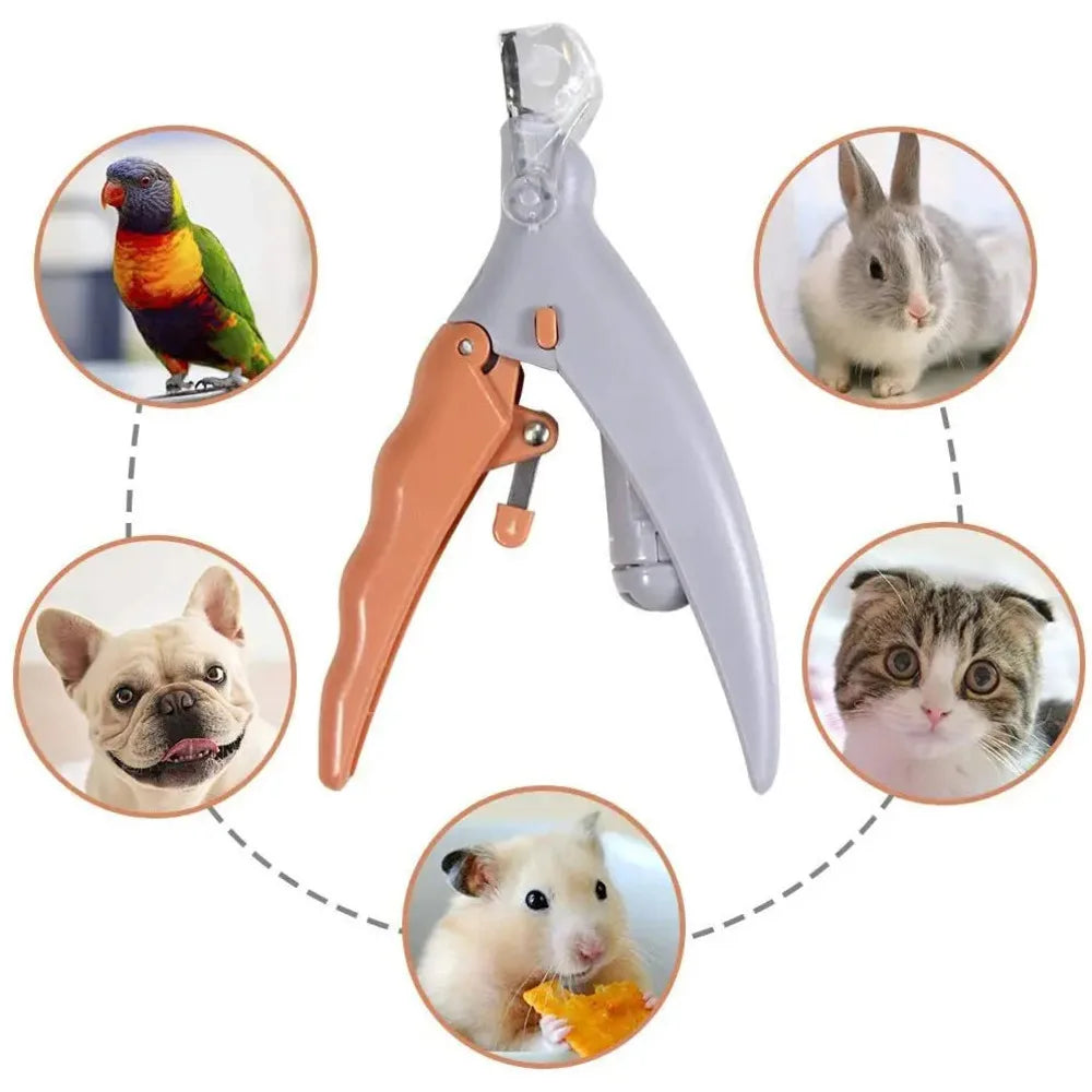 Coupe-ongles LED professionnel pour chat et chien