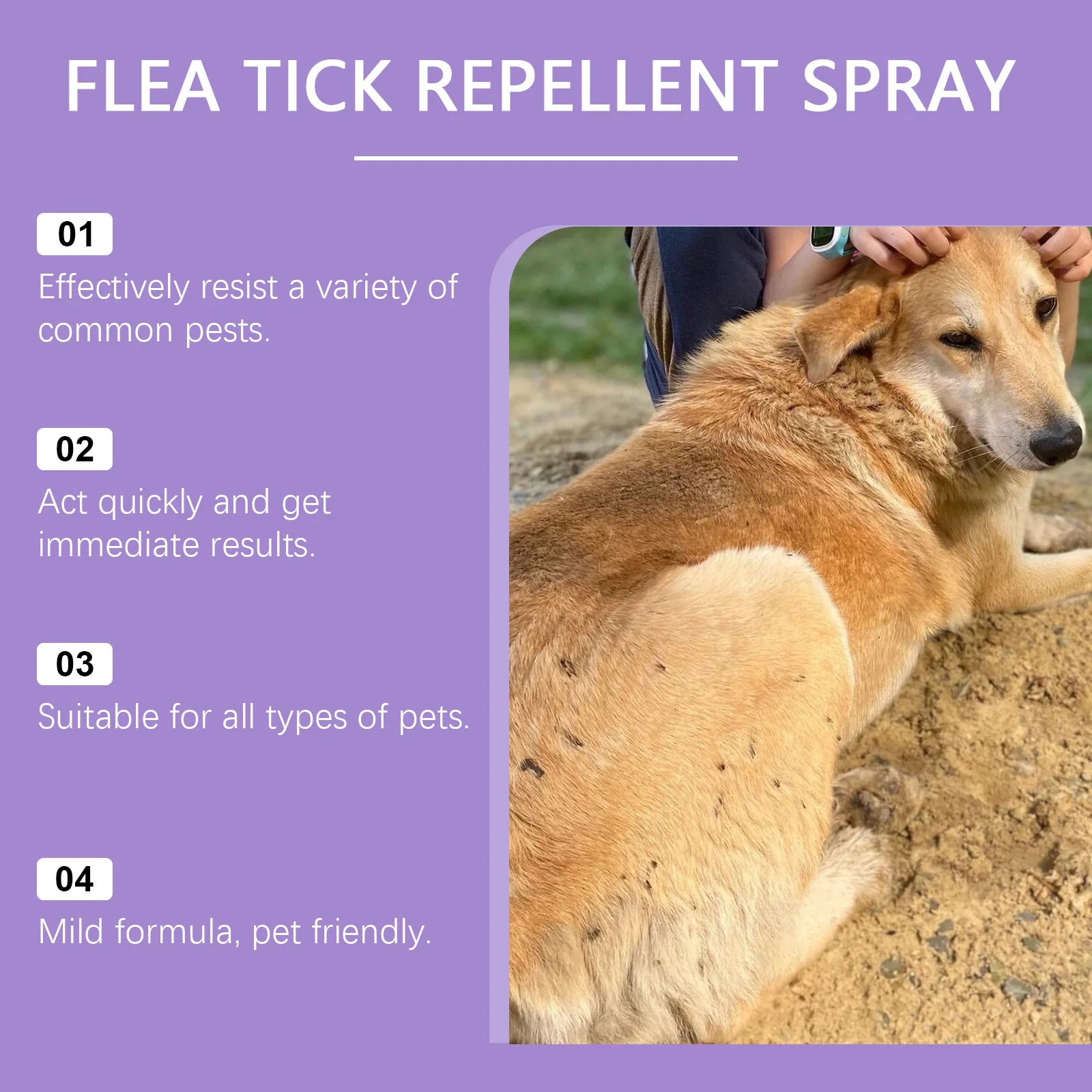 Spray anti-puces waterproof pour chien et chat — Soulage les démangeaisons