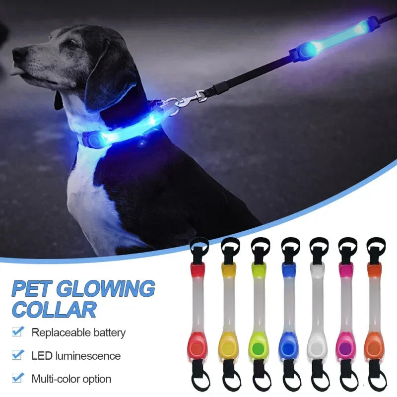 Collier lumineux de sécurité  pour chien