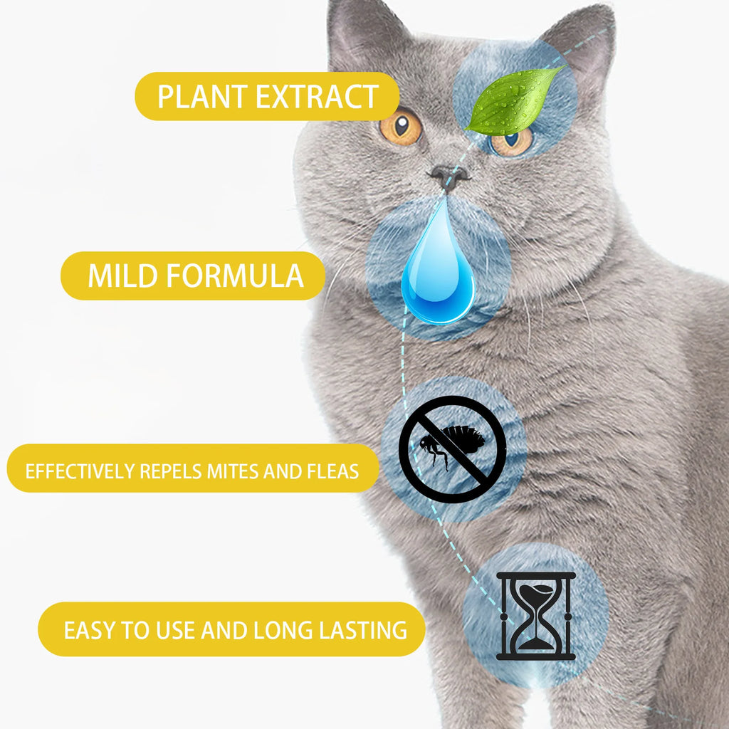Pipettes anti-puces pour chat — Action rapide contre puces, poux et démangeaisons