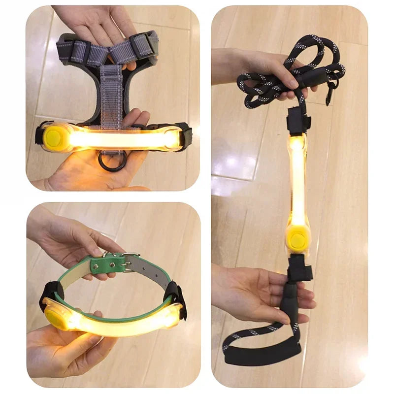 Collier lumineux de sécurité  pour chien