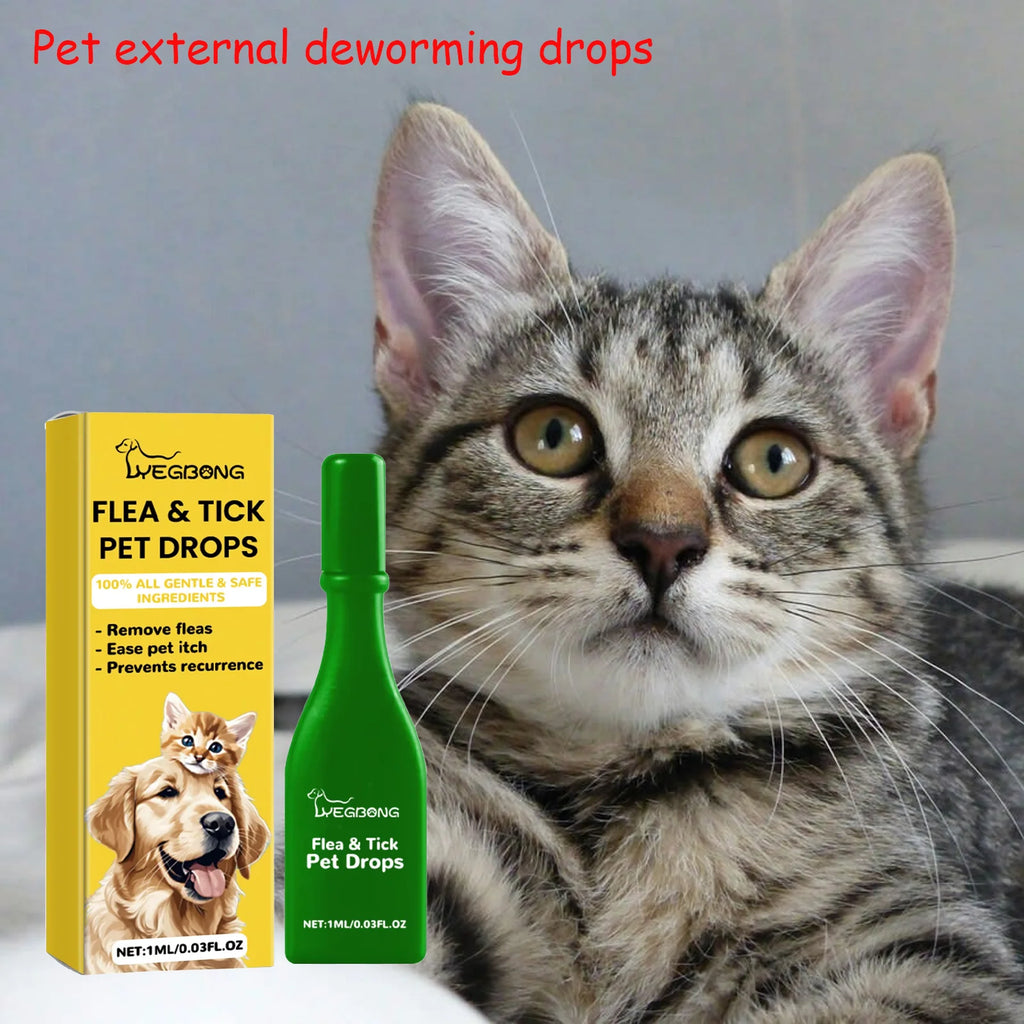 Pipettes anti-puces pour chat — Action rapide contre puces, poux et démangeaisons