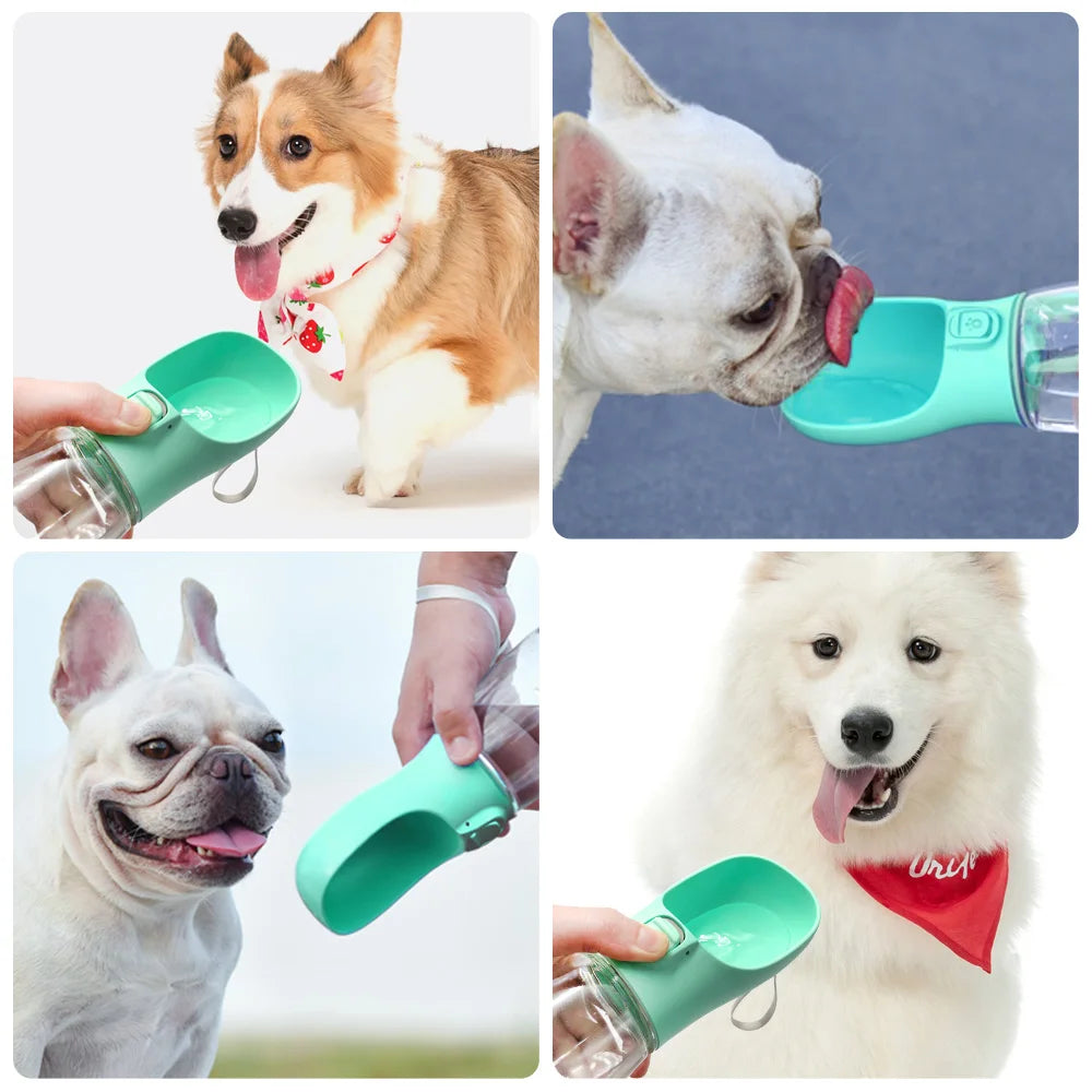 Bouteille d'eau pour chien, pour petits et grands chiens