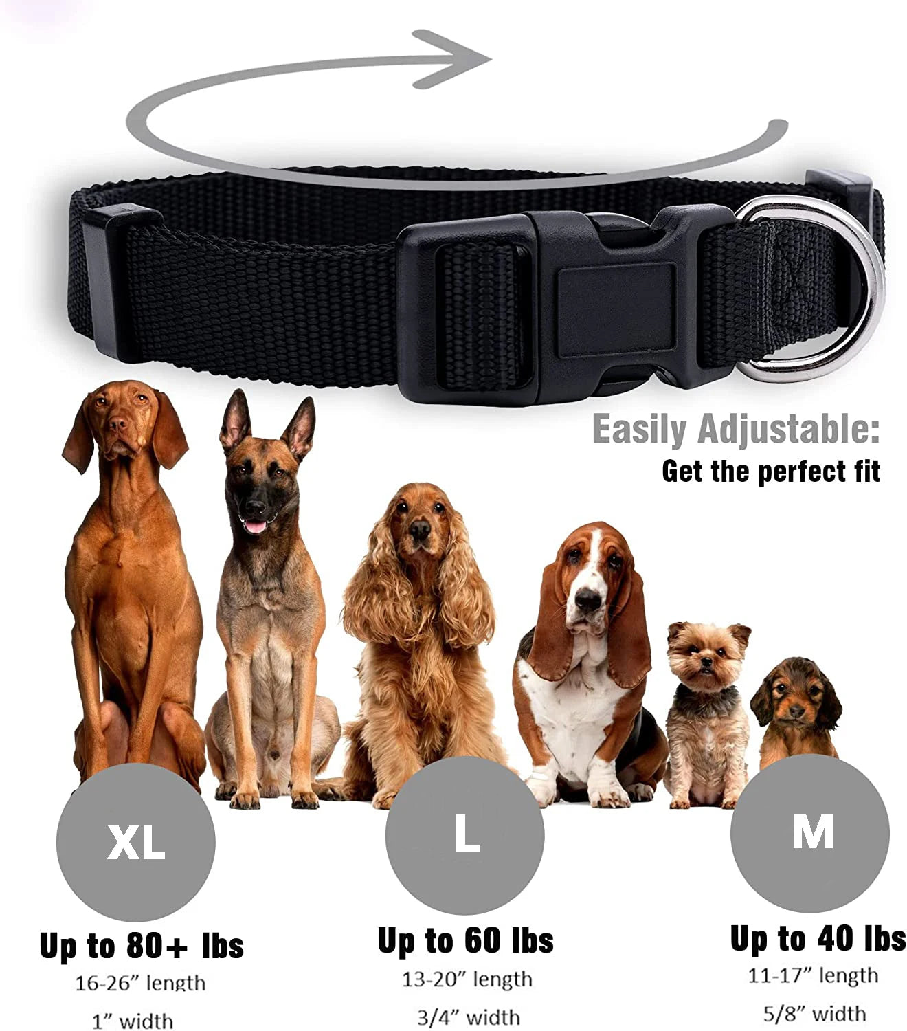 Collier pour chien en nylon de base durable