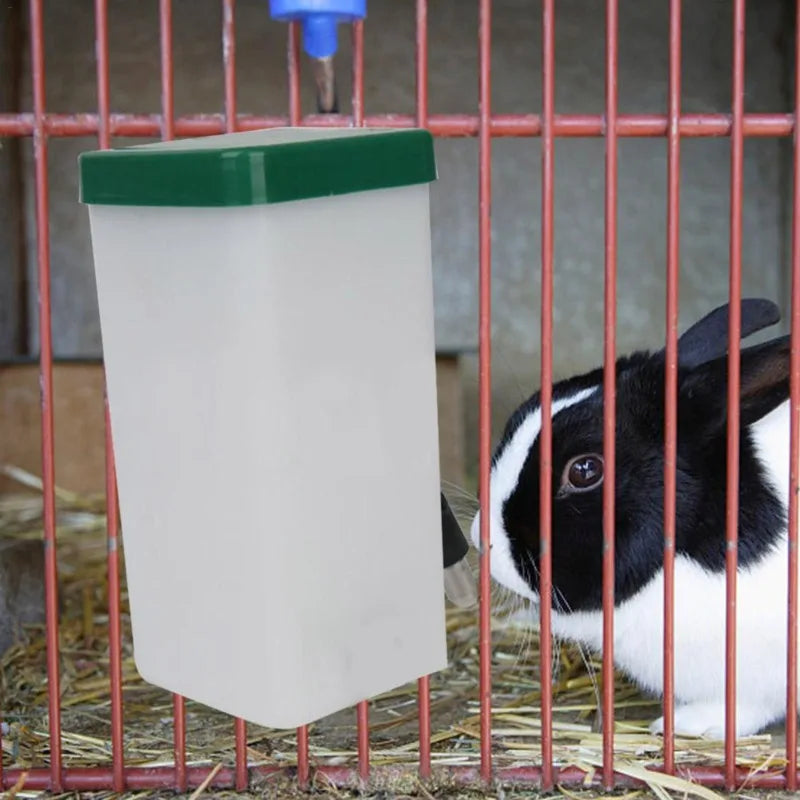 Distributeur d'eau pour animaux de compagnie