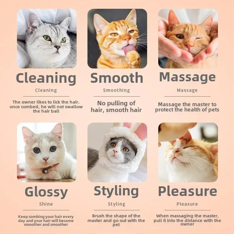 Accessoires et équipement de toilettage pour chiens, et chats