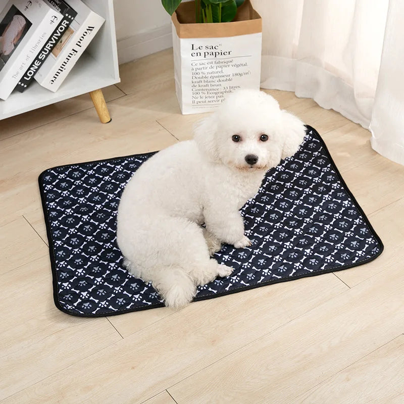 Tapie absorbant, lavable réutilisable pour chien