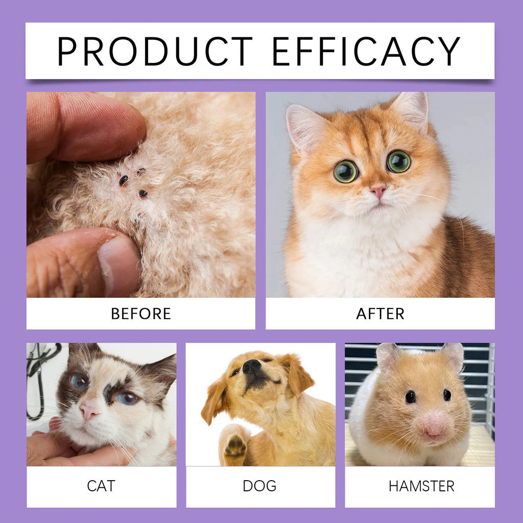 Spray anti-puces waterproof pour chien et chat — Soulage les démangeaisons