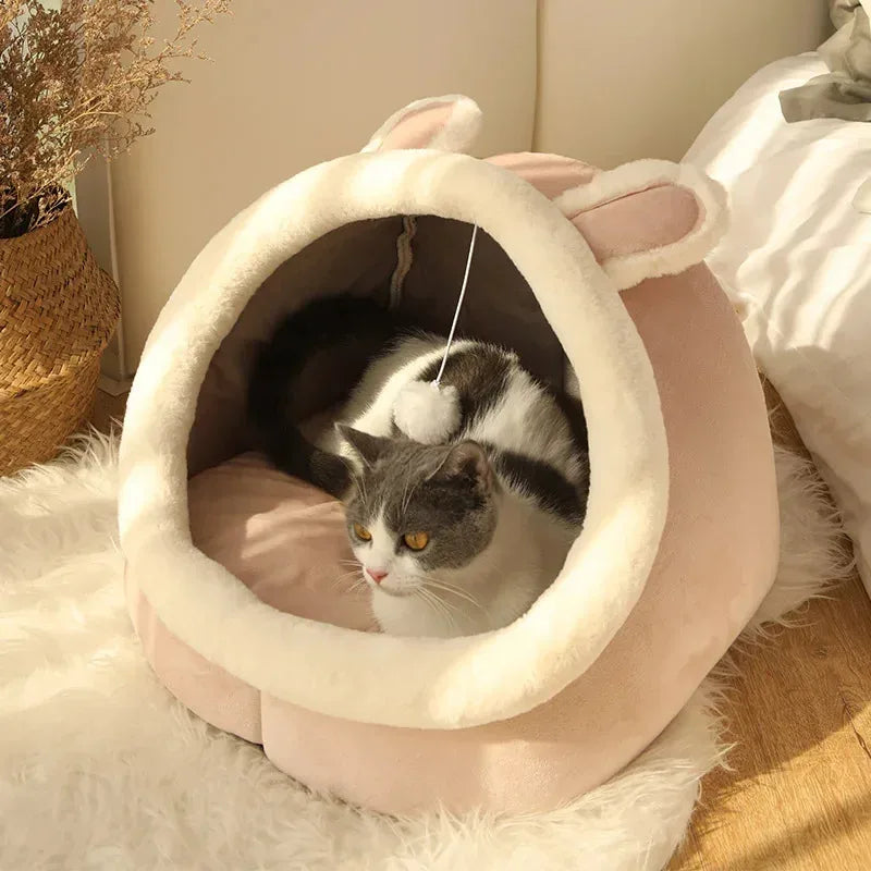 Coussins lavables pour animaux de compagnie