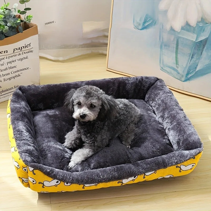 Lit pour chien, canapé, tapis