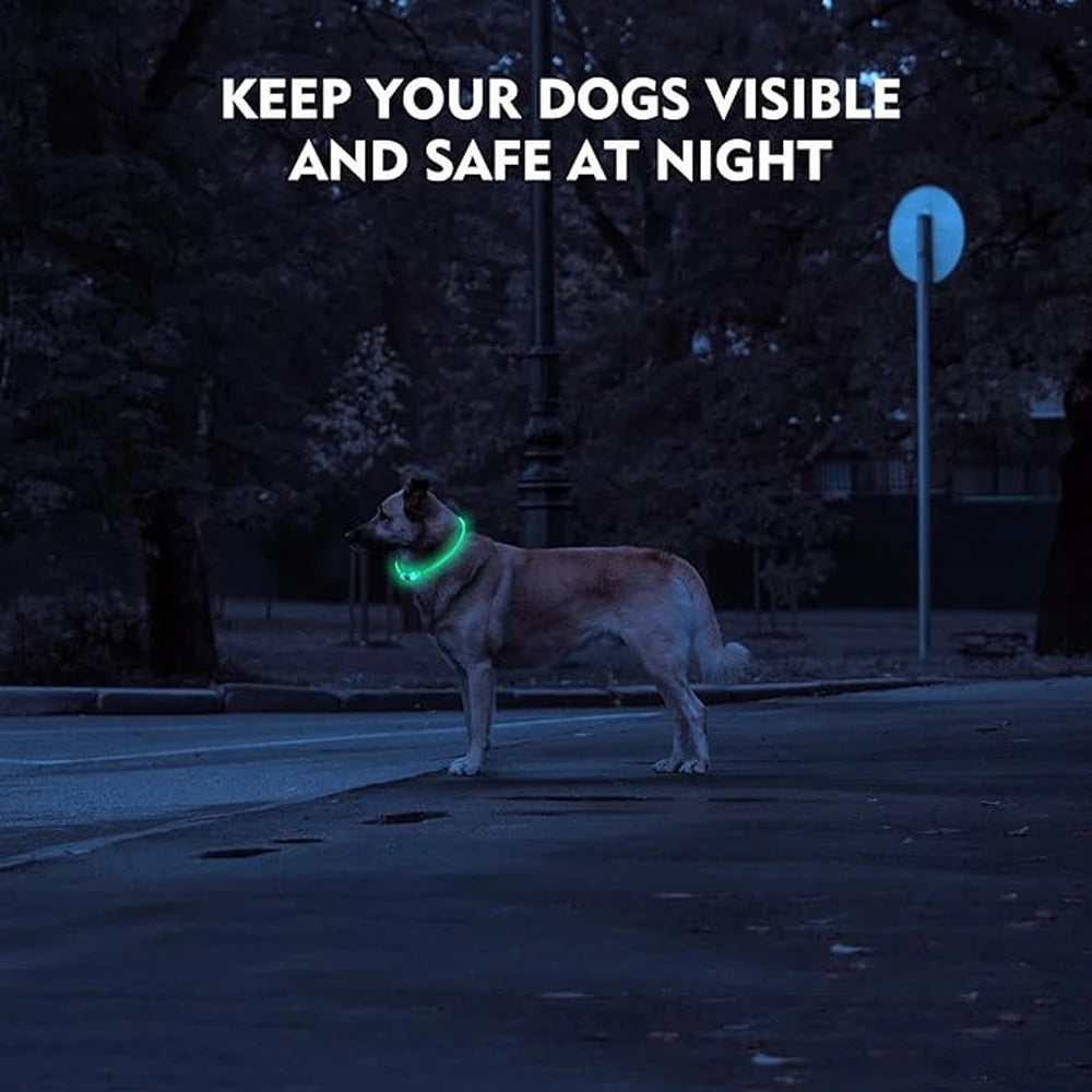 Collier Led lumineux Usb pour chien, chat 3 Modes lumière LED