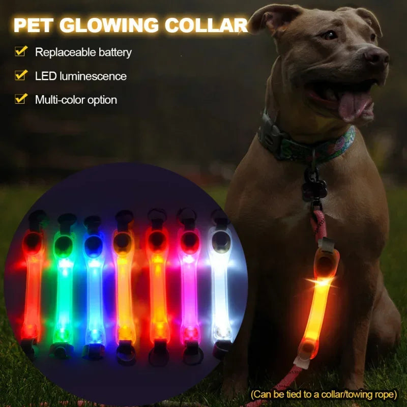 Collier lumineux de sécurité  pour chien