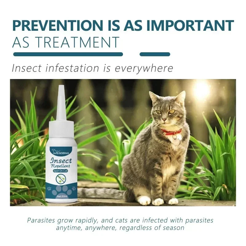Solution antiparasitaire externe 50ml pour chien et chat — Anti-puces, tiques et poux