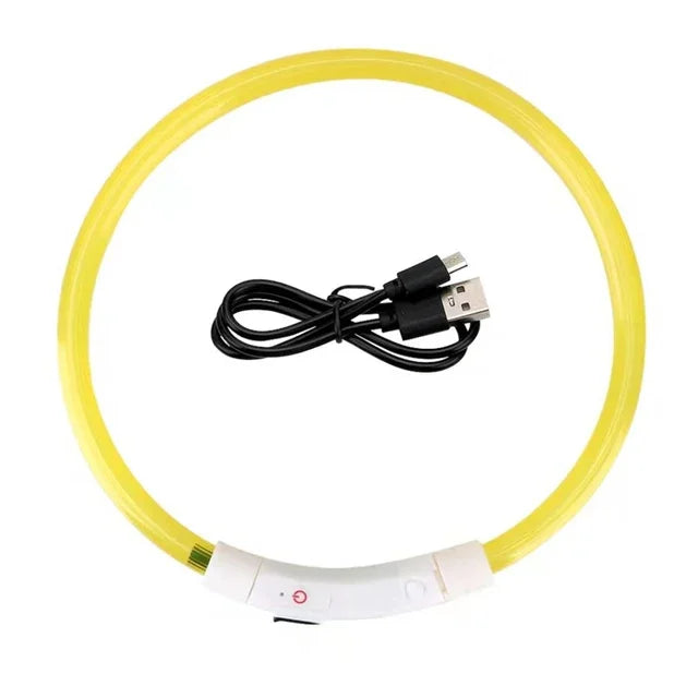 Collier Led lumineux Usb pour chien, chat 3 Modes lumière LED