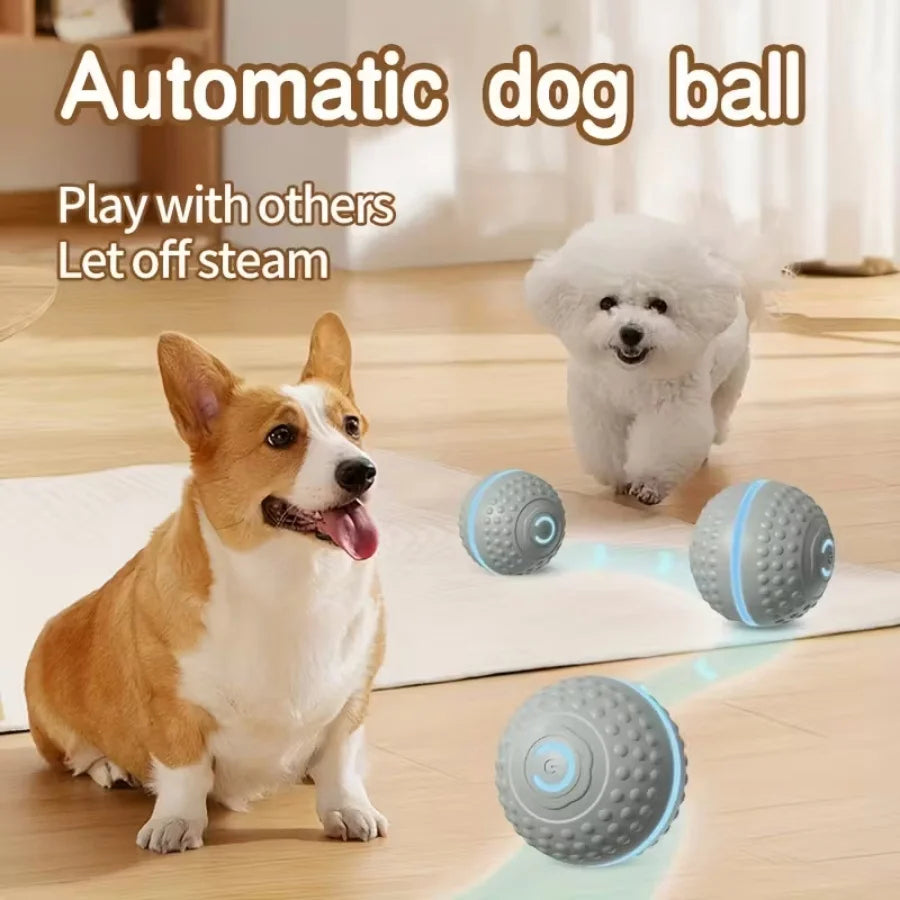 Jouets intelligents pour chiens, balle électronique