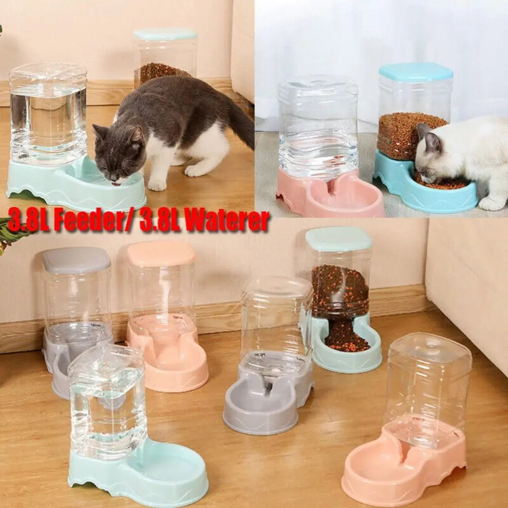 Mangeoire automatique pour animaux de compagnie