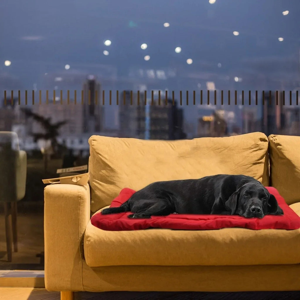 Tapis Pliable et Imperméable pour Animaux de Compagnie