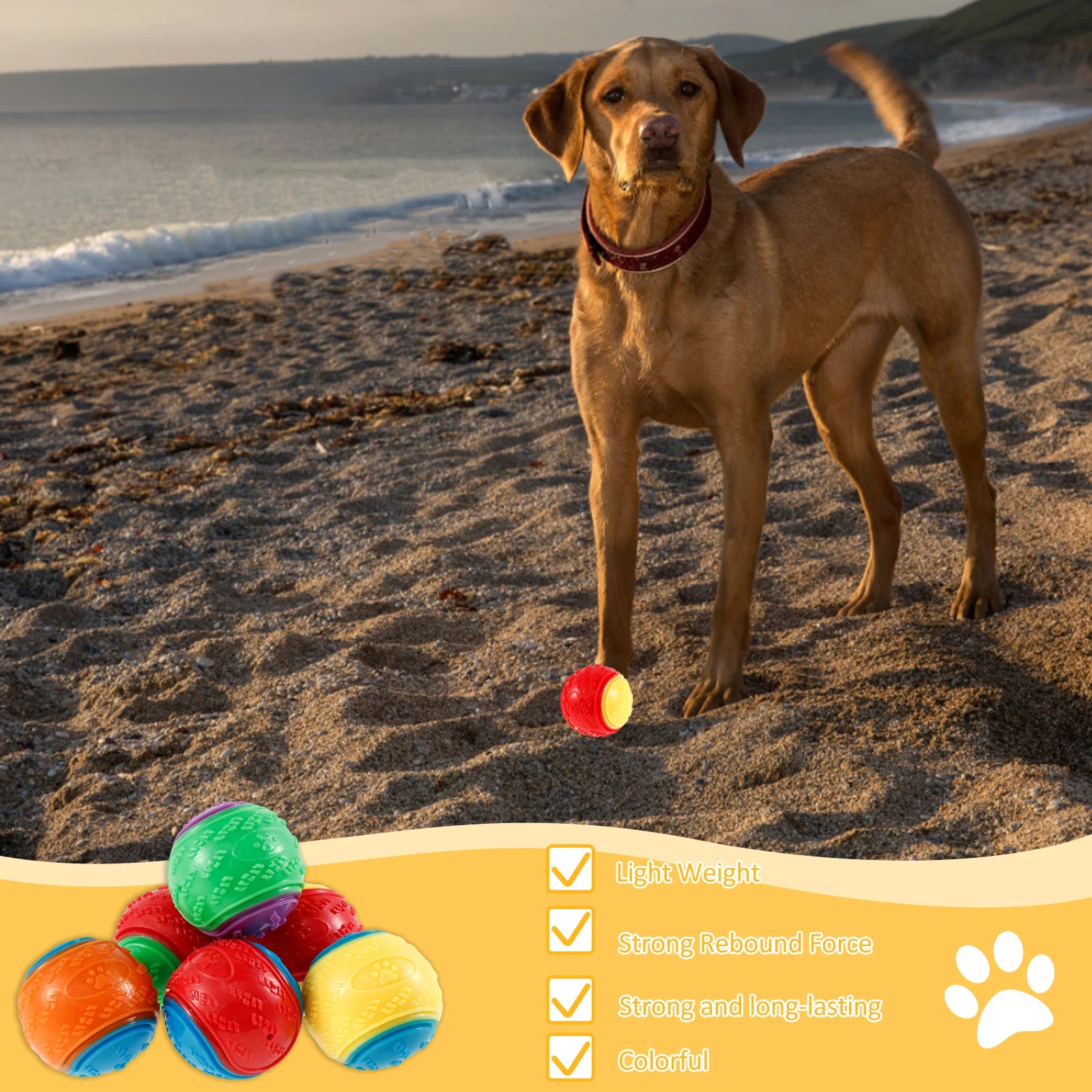 Lot de 6 balles couinantes pour chien — TPR souple, nettoyage des dents et anti-ennui
