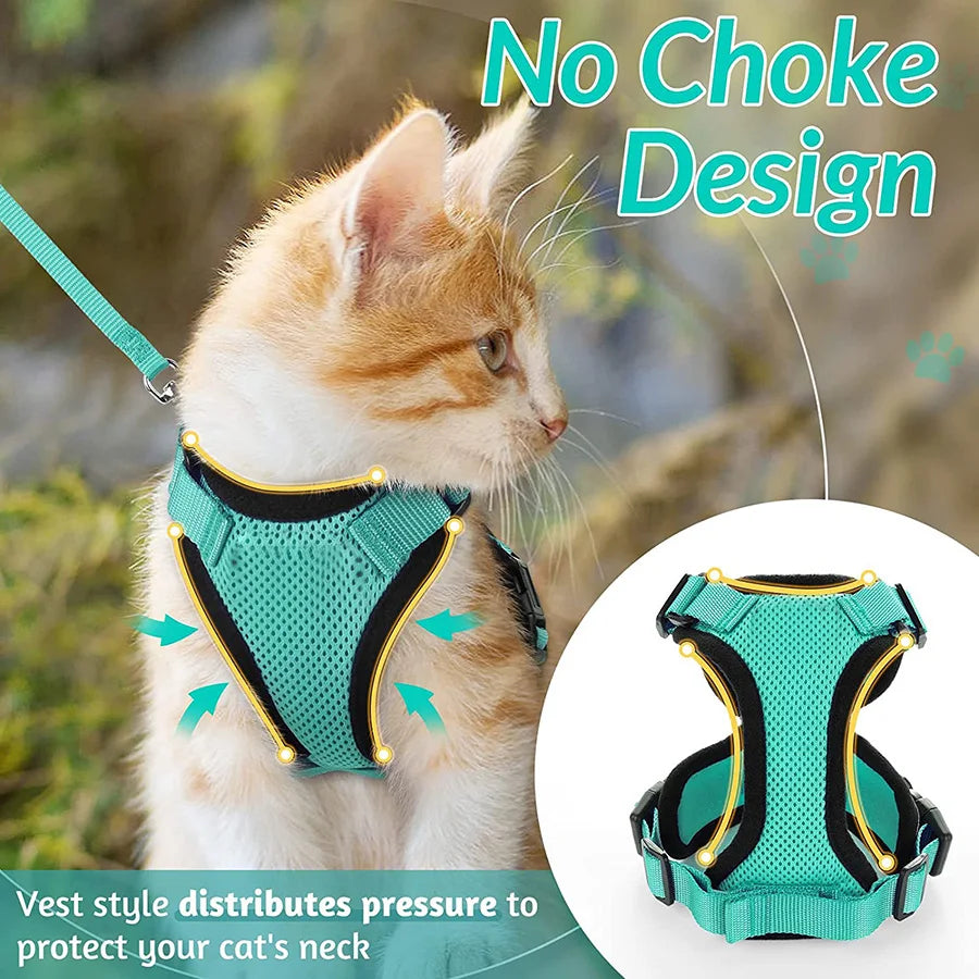 Harnais et laisse pour chat