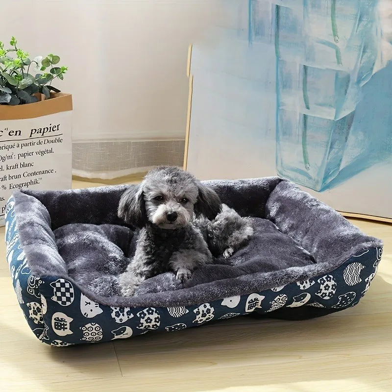 Lit pour chien, canapé, tapis