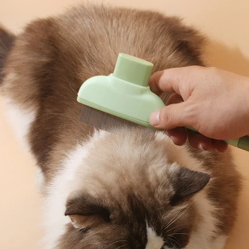 Peigne pour animaux de compagnie