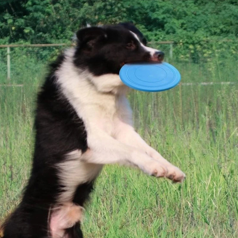 Frisbee en silicone pour animaux de compagnie