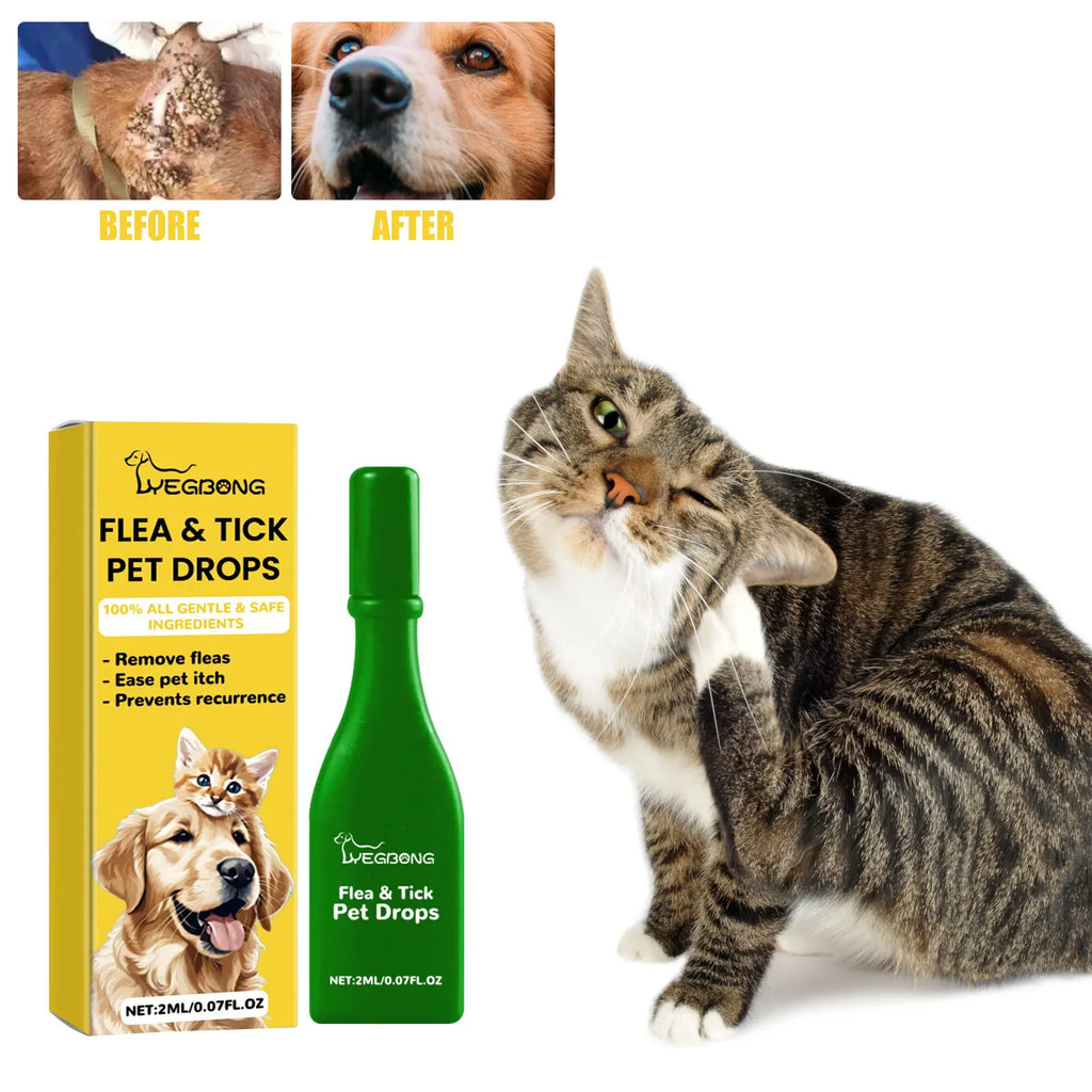 Pipettes anti-puces pour chat — Action rapide contre puces, poux et démangeaisons