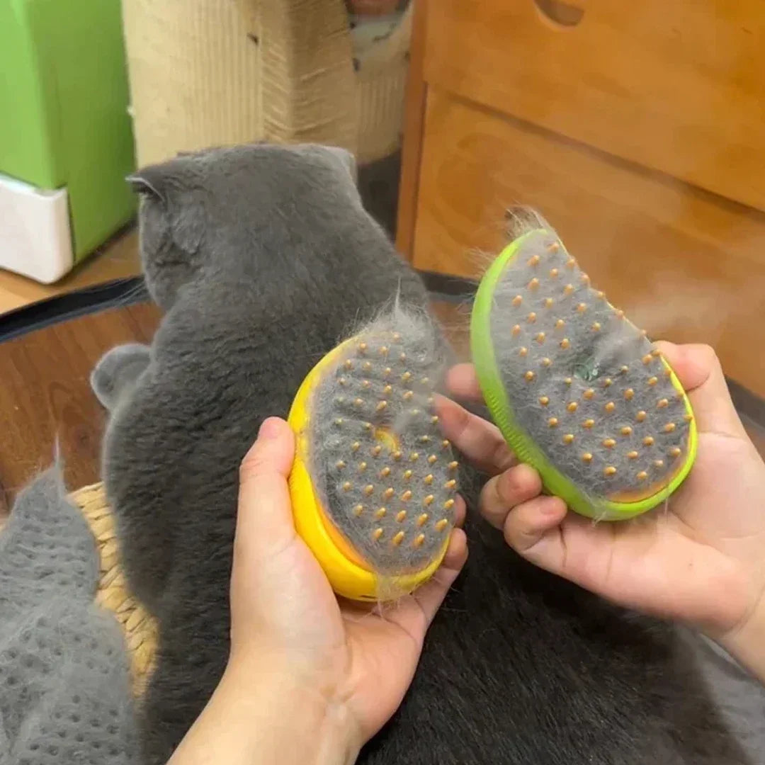 Brosse à vapeur pour chien et chat