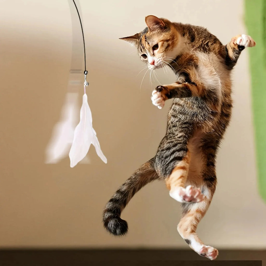 Jouet pour chat avec cloche interactive et baguette en plumes