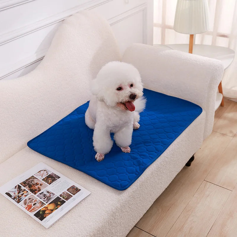 Tapie absorbant, lavable réutilisable pour chien