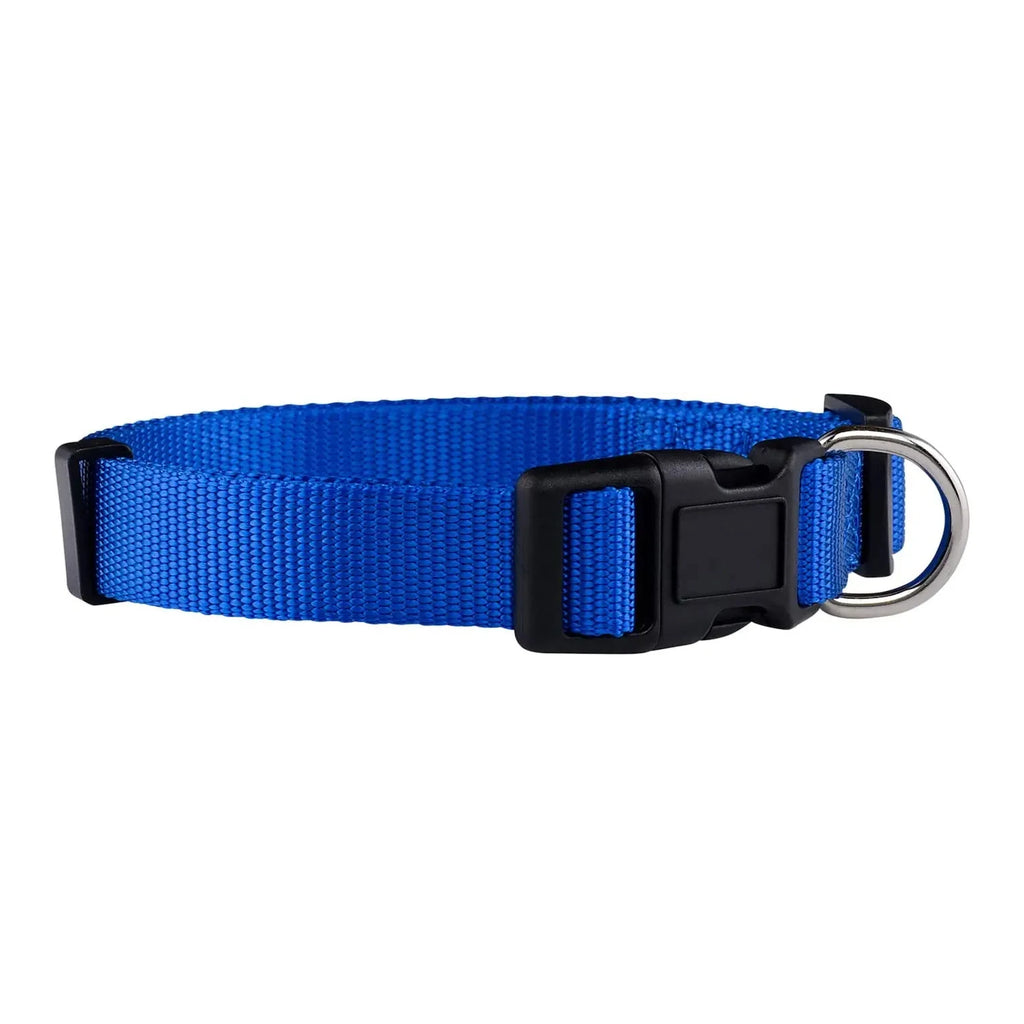 Collier pour chien en nylon de base durable