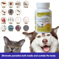Vermifuge rapide pour chien, chat et animaux domestiques — Anti-puces, tiques et vers