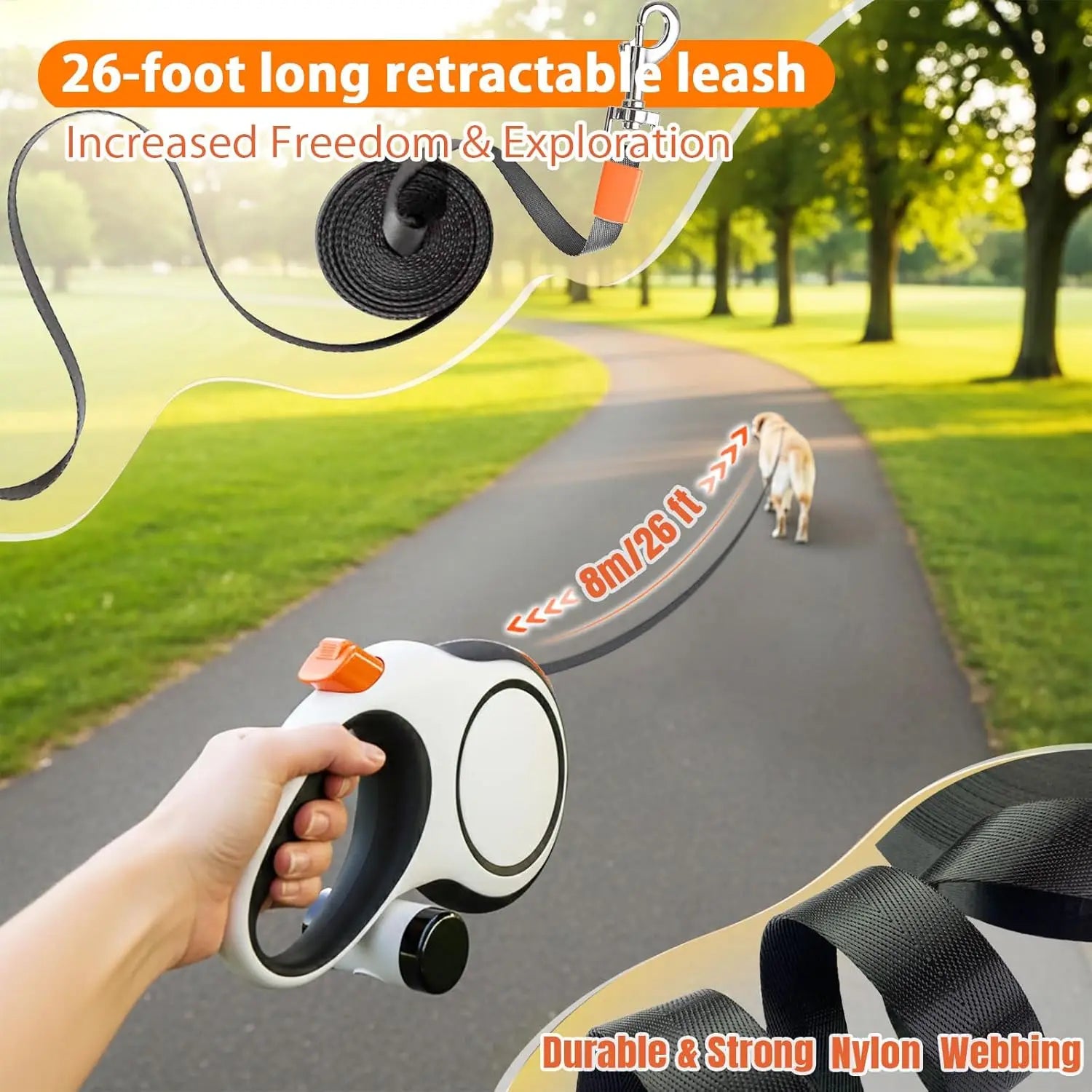 Laisse rétractable pour chien, 5m 8m 50kg