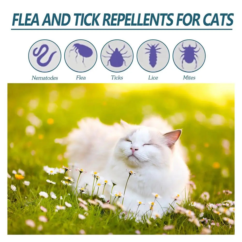 Pipettes antiparasitaires pour chien et chat — Anti-puces, tiques, poux et teigne