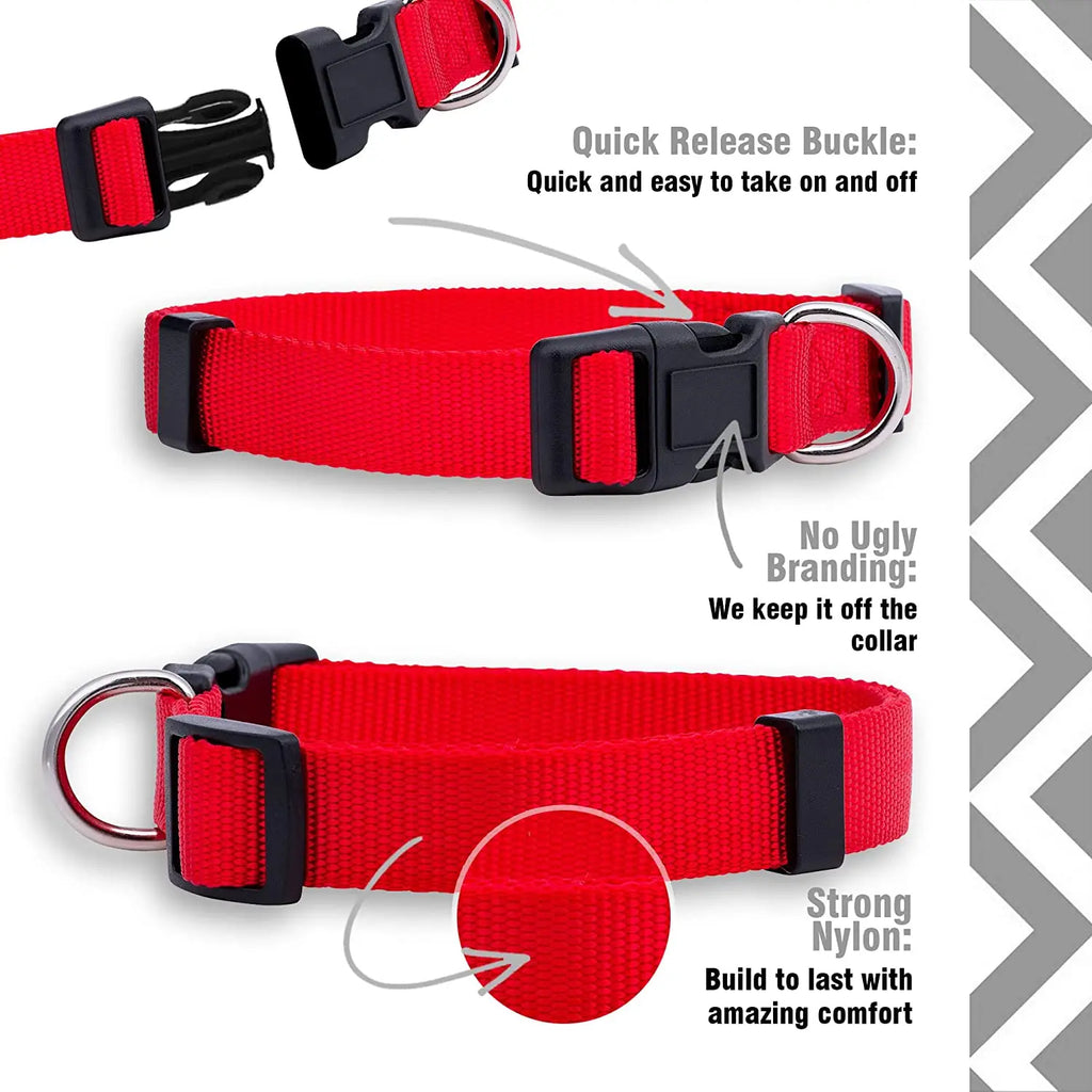 Collier pour chien en nylon de base durable