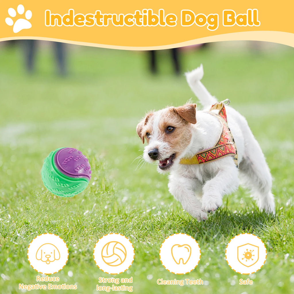 Lot de 6 balles couinantes pour chien — TPR souple, nettoyage des dents et anti-ennui