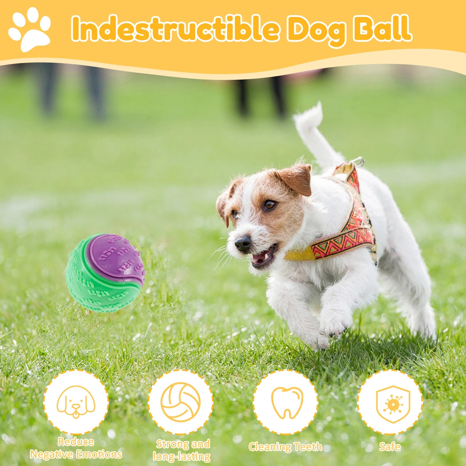 Lot de 6 balles couinantes pour chien — TPR souple, nettoyage des dents et anti-ennui
