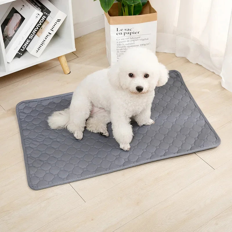 Tapie absorbant, lavable réutilisable pour chien