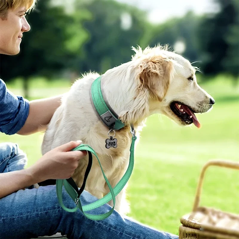 Colliers rembourrés pour chiens de petite, moyenne et grande taille
