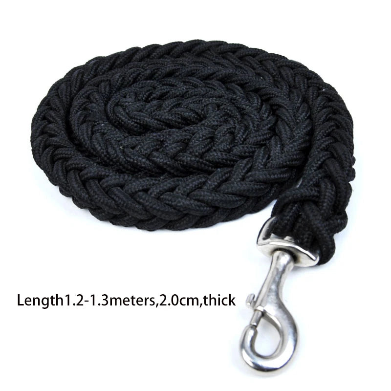 Laisse pour chien pour une  marche confortable, tresse solide