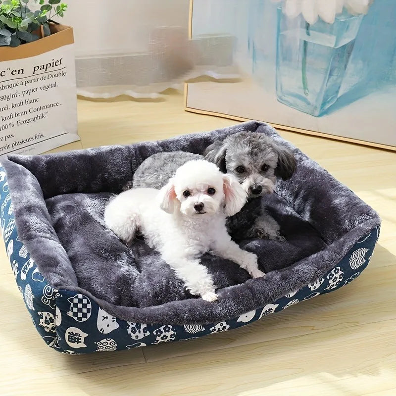 Lit pour chien, canapé, tapis