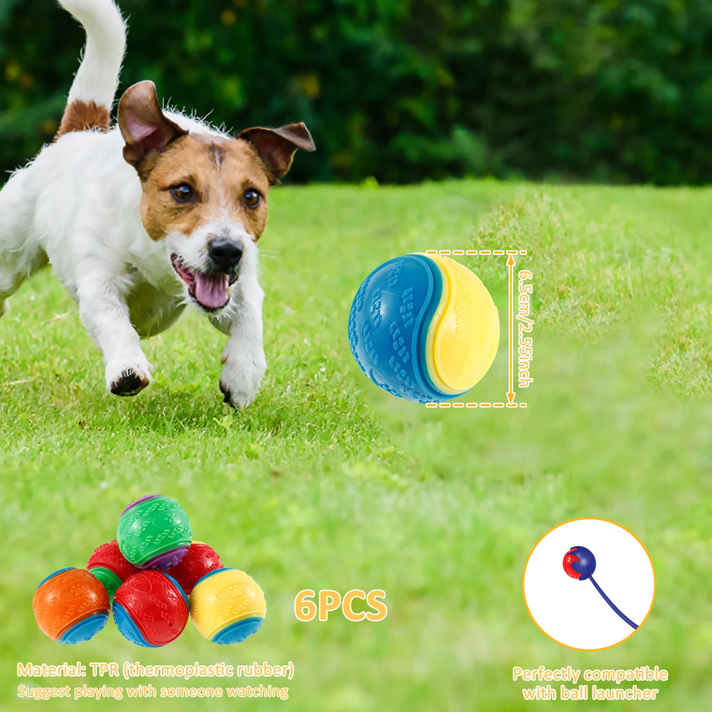 Lot de 6 balles couinantes pour chien — TPR souple, nettoyage des dents et anti-ennui