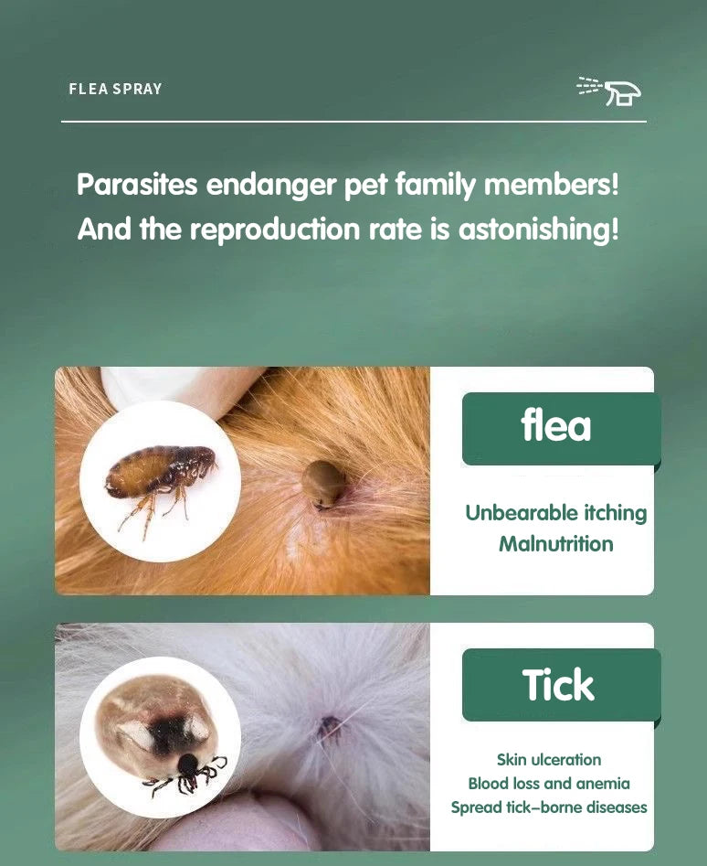 Vermifuge rapide pour chien, chat et animaux domestiques — Anti-puces, tiques et vers
