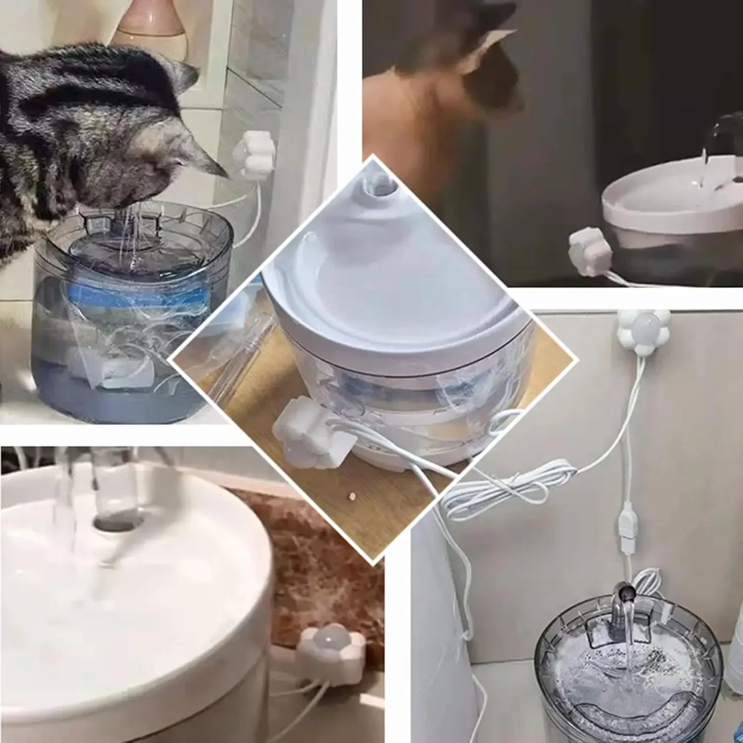 Fontaine d'eau intelligente pour animaux de compagnie, avec capteur de mouvement