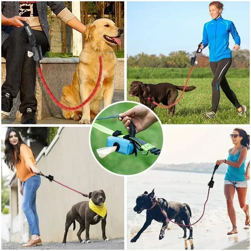 Distributeur portatif de sac de crotte de chien, tissu Oxford imperméable,