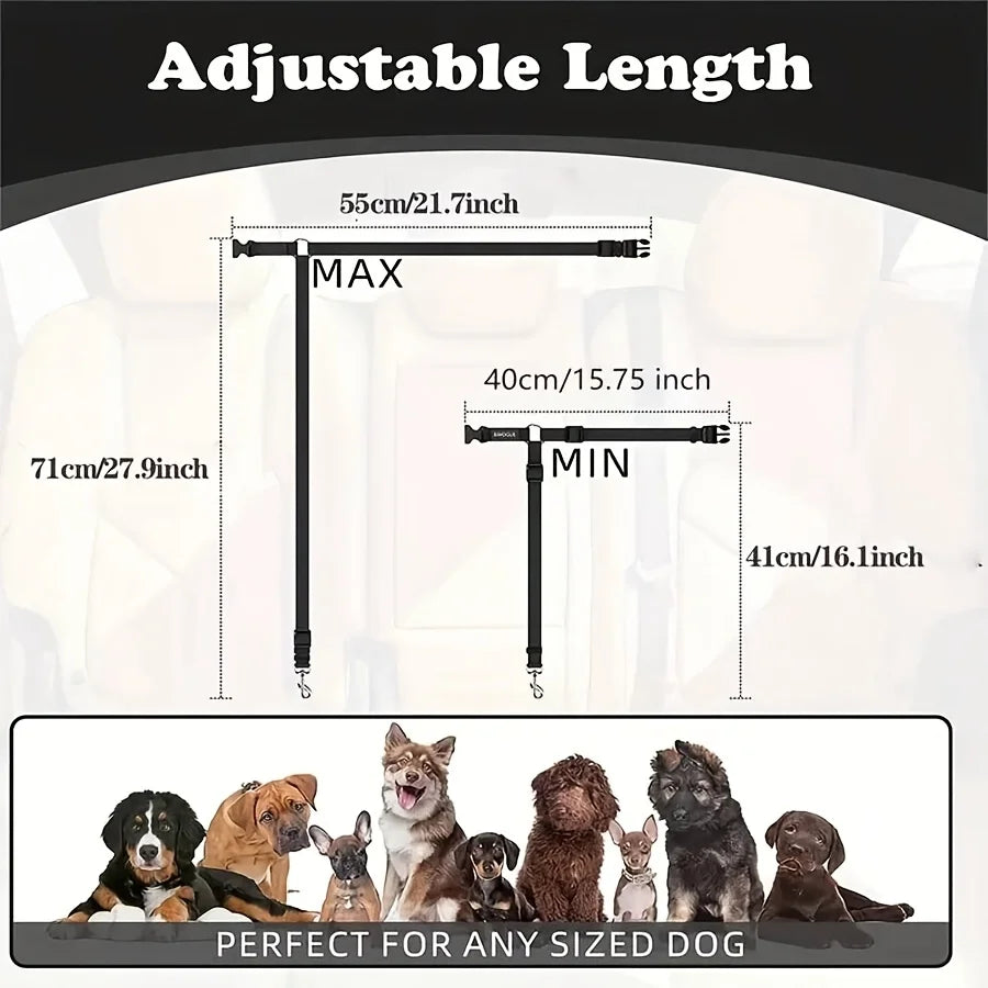 Ceinture de sécurité pour chien pour véhicule sécurisé