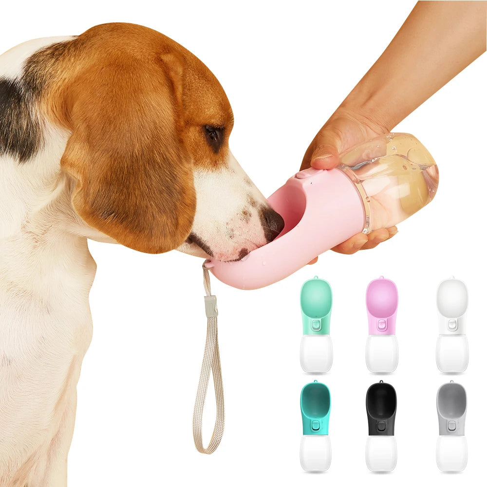Bouteille d'eau portable pour chien petits et grands